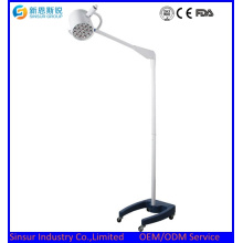 China Suprimento de Abastecimento Hospital Stand Shadowless Medical Lamp